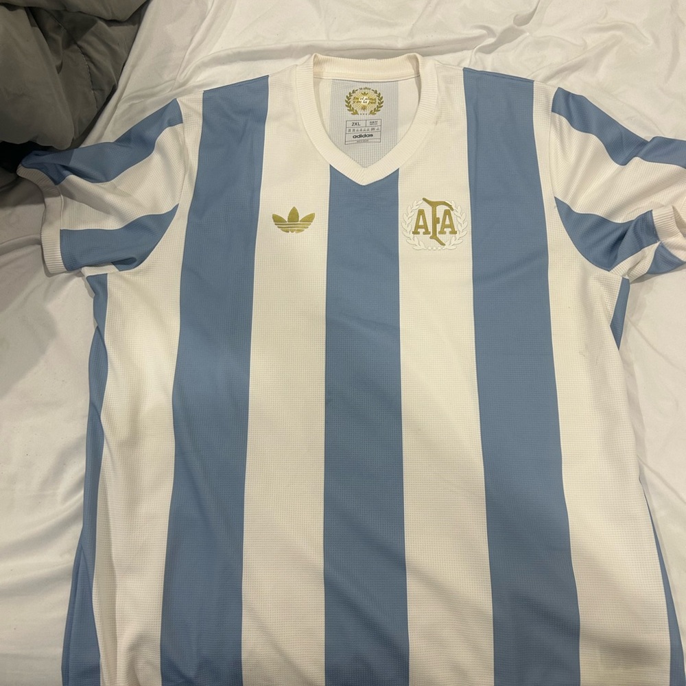 Adidas White and Blue Jersey with Gold Emblem